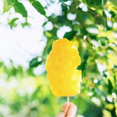 野狼又袭儿童 荷兰乌得勒支省发紧急警告